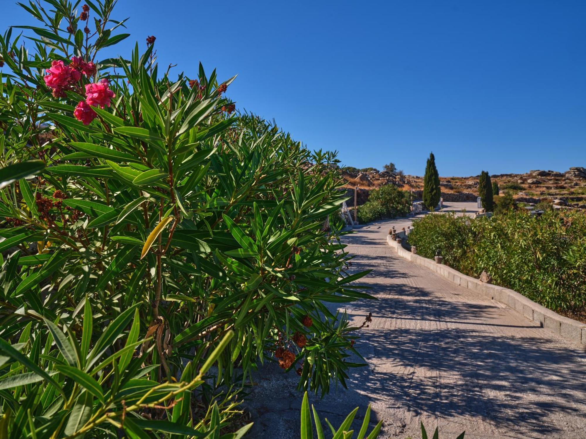 Villa Stella, Lefkes  Esterno foto